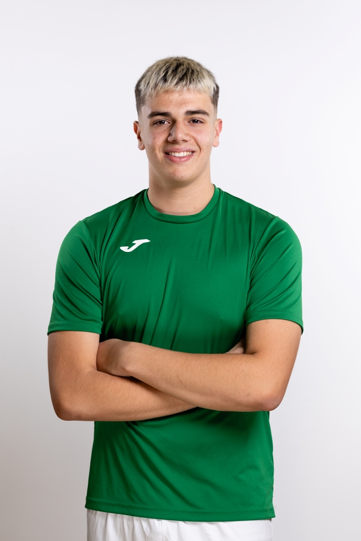 Aiman Dizdarević