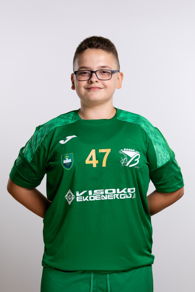 Vedad Čehaja